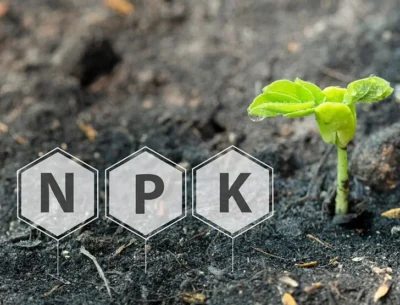 Understanding-NPK-Fertilizer